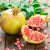 Granatapfel `Haku Botan´ Punica Granatum -Obstbaumes Geschaft Granatapfel weiss Erweiterte Lizenz