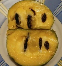 Veredelte Indianerbanane (Paw Paw) `Shenandoah®´ Asimina Triloba `Shenandoah´ 8 Veredelte Indianerbanane (Paw Paw) `Shenandoah®´ Asimina Triloba `Shenandoah´ -Obstbaumes Geschaft Indianerbanane von Innen5a0476156796c