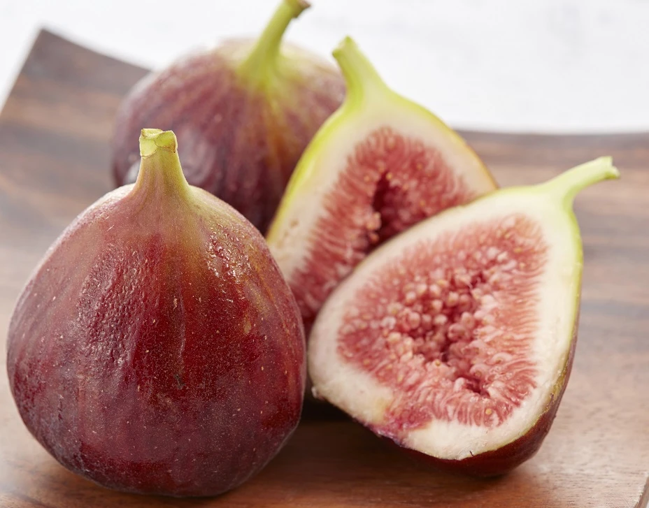 Zwerg-Feige `Little Miss Figgy®´ Ficus Carica `Little Miss Figgy´ 3 Zwerg-Feige `Little Miss Figgy®´ Ficus Carica `Little Miss Figgy´