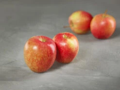 Rewena ® Malus Domestica -Obstbaumes Geschaft apfel rewena g