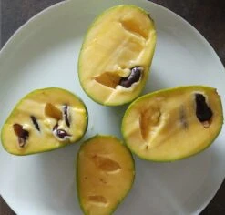 Bestseller -Obstbaumes Geschaft indianerbanane frucht aufgeschnittenmC83OjAvblbkD 1