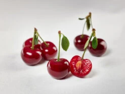 Safir ® Prunus Cerasus `Safir´ -Obstbaumes Geschaft sauerkirsche safir glCz99JjQsQ3RC